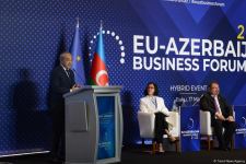 Number of EU companies wishing to invest in Azerbaijan’s Karabakh growing (PHOTO)