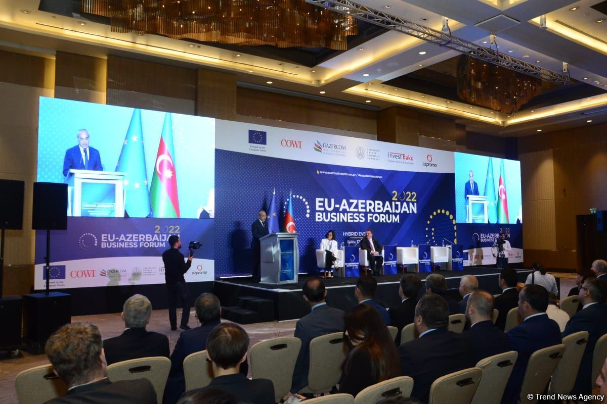 Number of EU companies wishing to invest in Azerbaijan’s Karabakh growing (PHOTO)