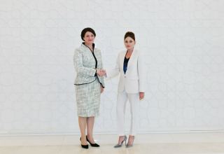 Azerbaijani, Lithuanian first ladies meet (PHOTO)