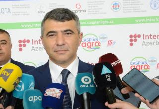 Иностранные компании проявляют большой интерес к выставкам 2022 г. в Азербайджане - министр