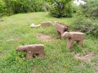 В Азербайджане впервые обнаружены каменные  фигуры быков (ФОТО)