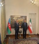 Azerbaijani Deputy PM meets with Iranian FM (PHOTO)