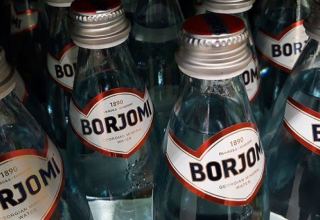 Georgian PM announces completion of talks on Gov’t co-ownership of Borjomi mineral water company