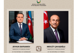 Главы МИД Азербайджана и Турции обсудили ситуацию в Украине