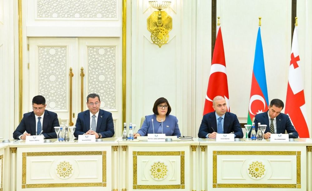 Milli Məclisin sədri üç ölkənin parlament nümayəndələri ilə görüşüb (FOTO)