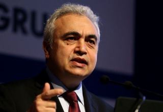 Drivers of renewables’ growth have changed, says IEA’s Birol