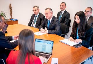 Azerbaijani Health Minister meets with WHO General Director (PHOTO)