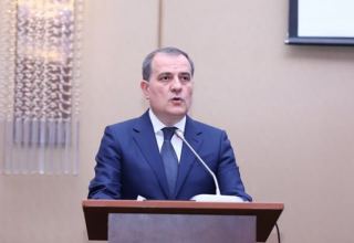 Armenian society still has groups propagandizing revanchist ideas - Azerbaijani minister