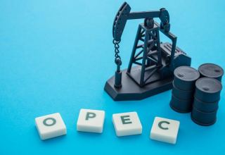 Стоимость нефти растет на заявлении о готовности ОПЕК+ снизить добычу