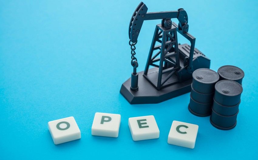 Forecast for OECD countries oil production slightly down - OPEC