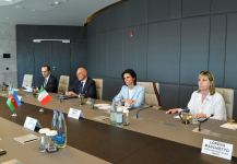 Азербайджан и Италия обсудили сотрудничество в восстановлении освобожденных территорий (ФОТО)