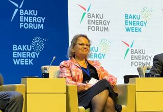 Нидерланды могут поделиться опытом с Азербайджаном в развитии альтернативной энергетики  - посол