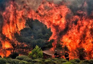 В окрестностях Тбилиси начался лесной пожар