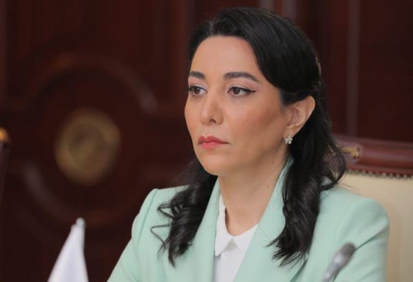 Ombudsman of Azerbaijan talks attacks on country's diplomatic missions