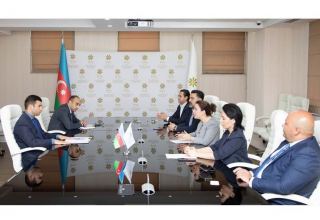 Обсуждено сотрудничество между Агентством Азербайджана по развитию МСБ и AmCham