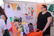 Билет в будущее! "Фестиваль профессий" был организован на самом высоком уровне –Сабина Иманова  (ФОТО)