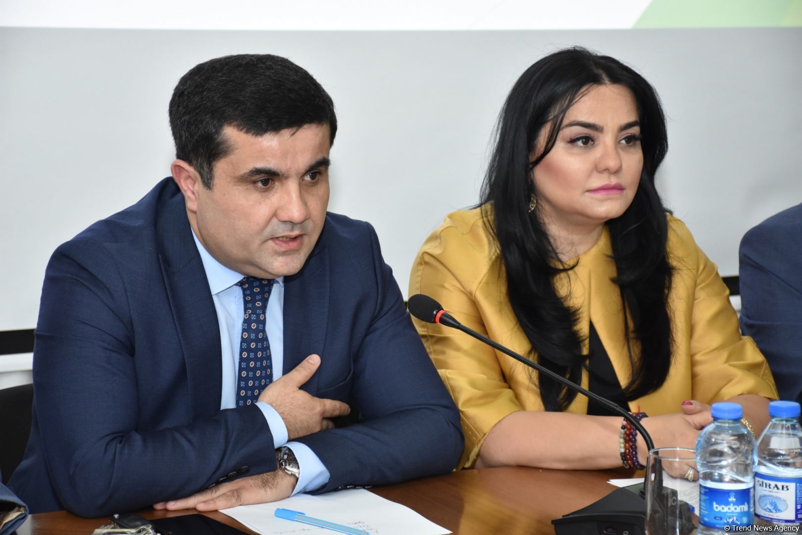 Media Dev't Agency talks formation of new information environment in Azerbaijan (PHOTO)