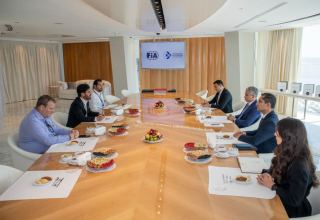 FIA, AAF explore issues of cooperation (PHOTO)