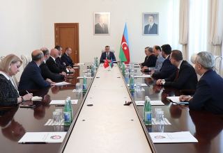 В минздраве Азербайджана прошла встреча с турецкой делегацией