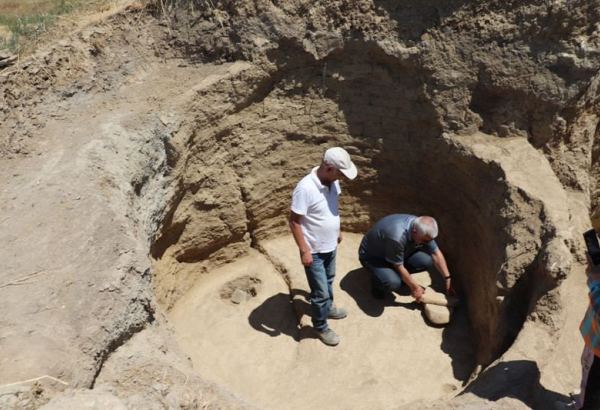 В Узерликтепе найден богатый археологический материал - Аббас Сеидов