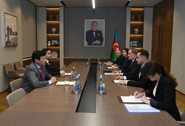 Глава МИД Азербайджана встретился с делегацией парламента Парагвая (ФОТО)