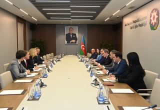 Глава МИД Азербайджана встретился с помощником госсекретаря США (ФОТО)