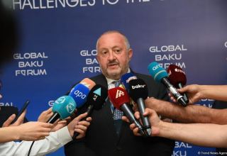 Georgia needs to be within single format for resolving issues of peace, dev't of S.Caucasus - former president