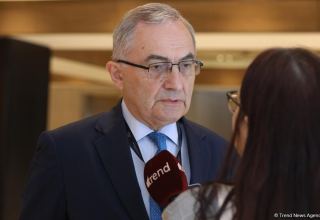 Azerbaijan’s efforts to establish peace in region can serve as example for other countries - BSEC (PHOTO)