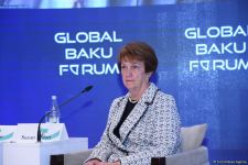 Состоялось первое панельное заседание в рамках IX Глобального Бакинского Форума (ФОТО)