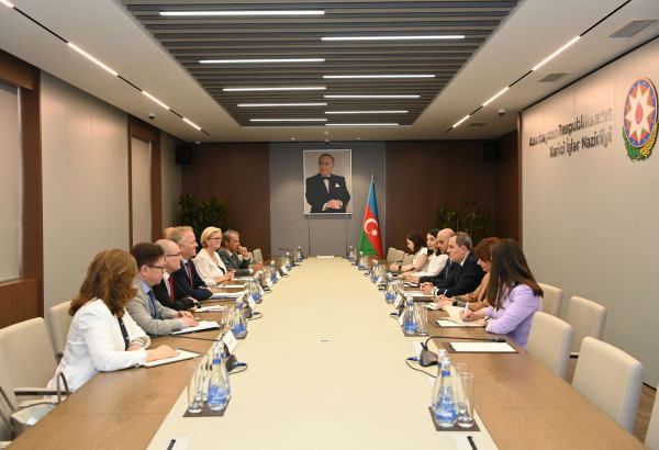 Azerbaijan's FM meets Chairman of GR-DEM Group of CoE Committee of Representatives (PHOTO)