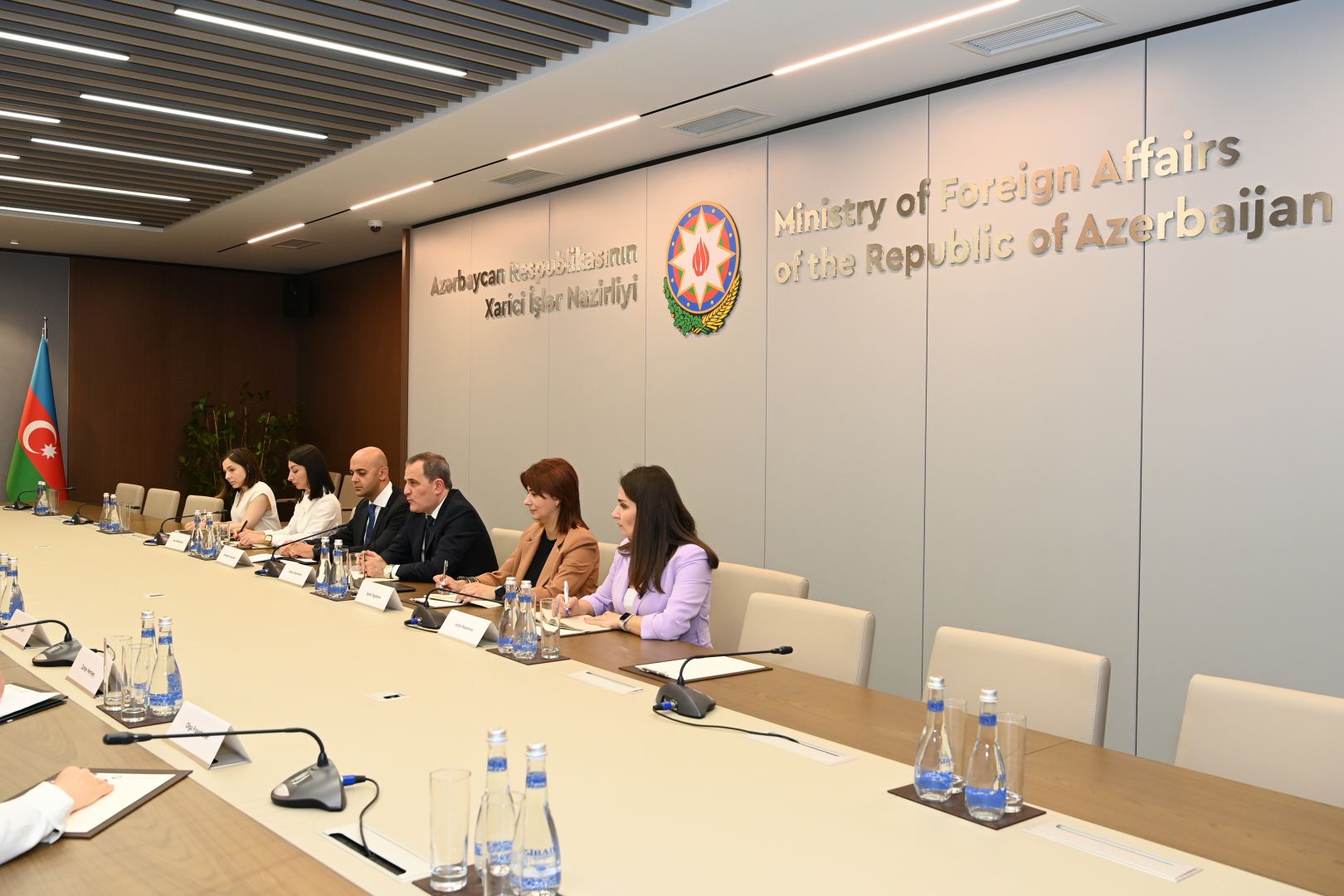Глава МИД Азербайджана встретился с председателем группы Комитета представителей СЕ (ФОТО)