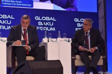 На IX Глобальном Бакинском форуме состоялось панельное заседание на тему мира и стабильности в регионе Ближнего Востока (ФОТО)