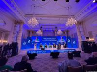 IX Global Baku Forum participants discuss health governance issues (PHOTO)