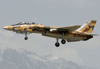 В Иране потерпел крушение истребитель F-14