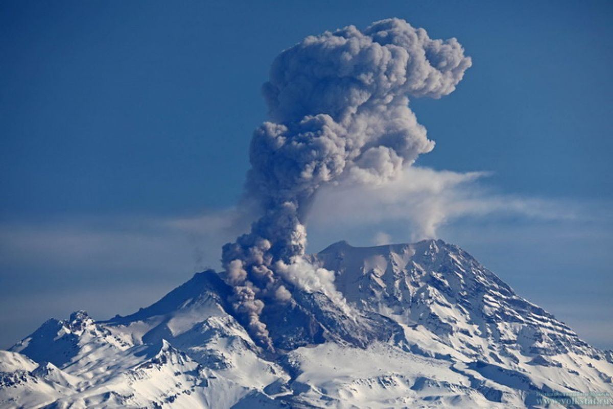 Вулкан Шивелуч на Камчатке выбросил столб пепла высотой семь километров