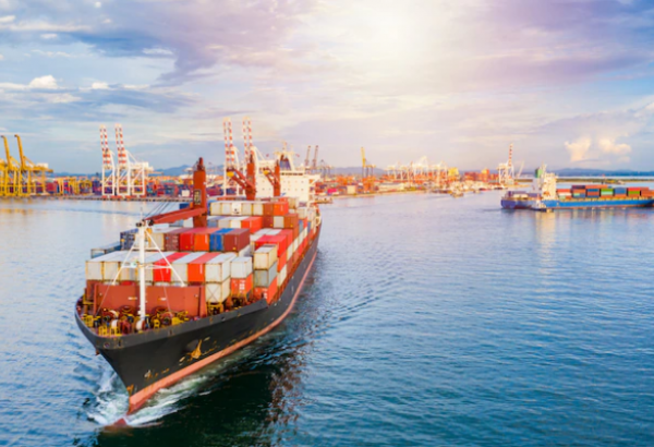 Turkish port of Aliaga unveils volume of cargo transshipment