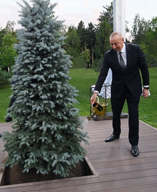 Azerbaijani, Uzbek presidents plant tree on Alley of Honored Guests (PHOTO/VIDEO)