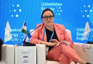 EBRD to continue supporting Uzbekistan on way to low-carbon economy
