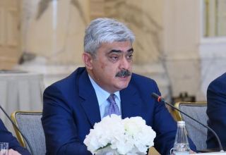 Azerbaijan taking measures to avoid artificial rise in food prices - minister