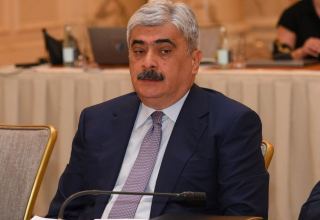 Southern Gas Corridor project needs no additional funding - Azerbaijani minister
