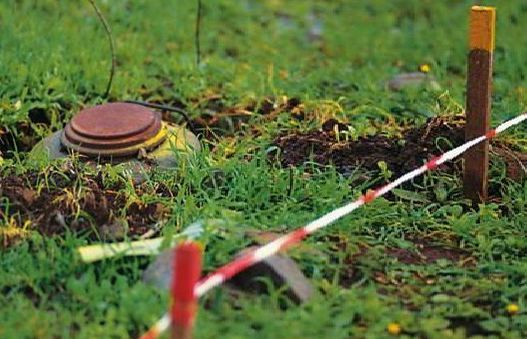 EU to continue supporting Azerbaijan in all aspects of demining process