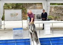 President Ilham Aliyev lays foundation stone for water production plant in Kalbajar district (PHOTO/VIDEO)