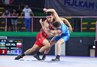 Azerbaijani wrestling team takes gold at European Championship (PHOTO)