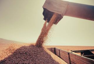 Еврокомиссия не продлила эмбарго на импорт украинского зерна