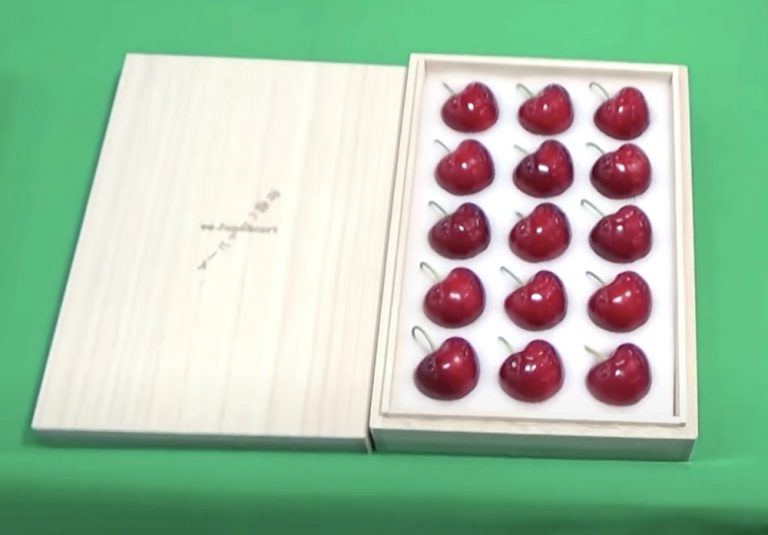Yaponiyada gilasın bir ədədi hərracda 290 dollara satılıb