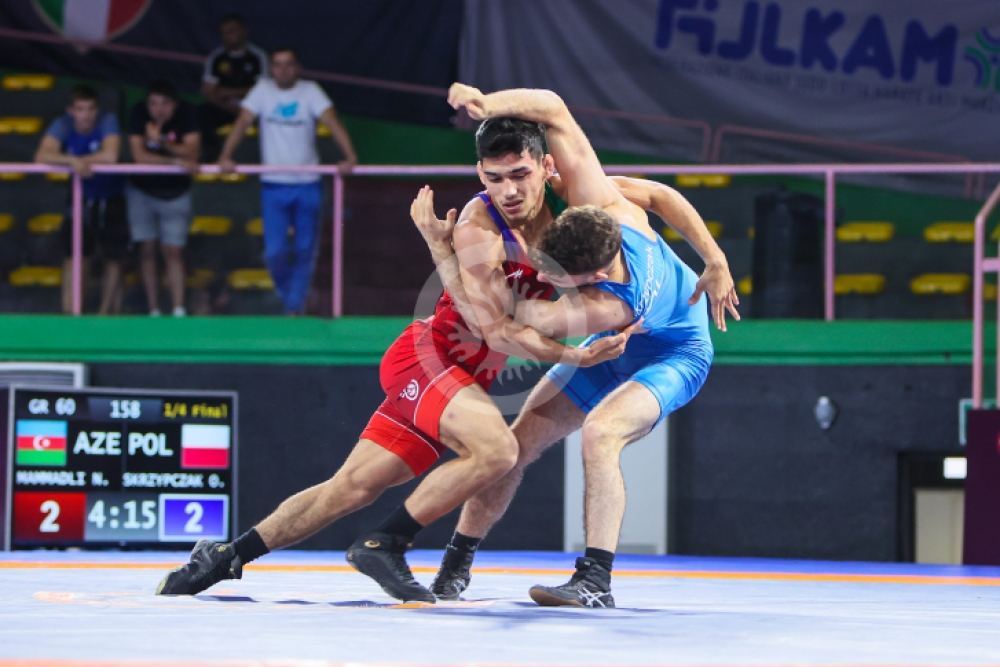 Azerbaijani wrestling team takes gold at European Championship (PHOTO)