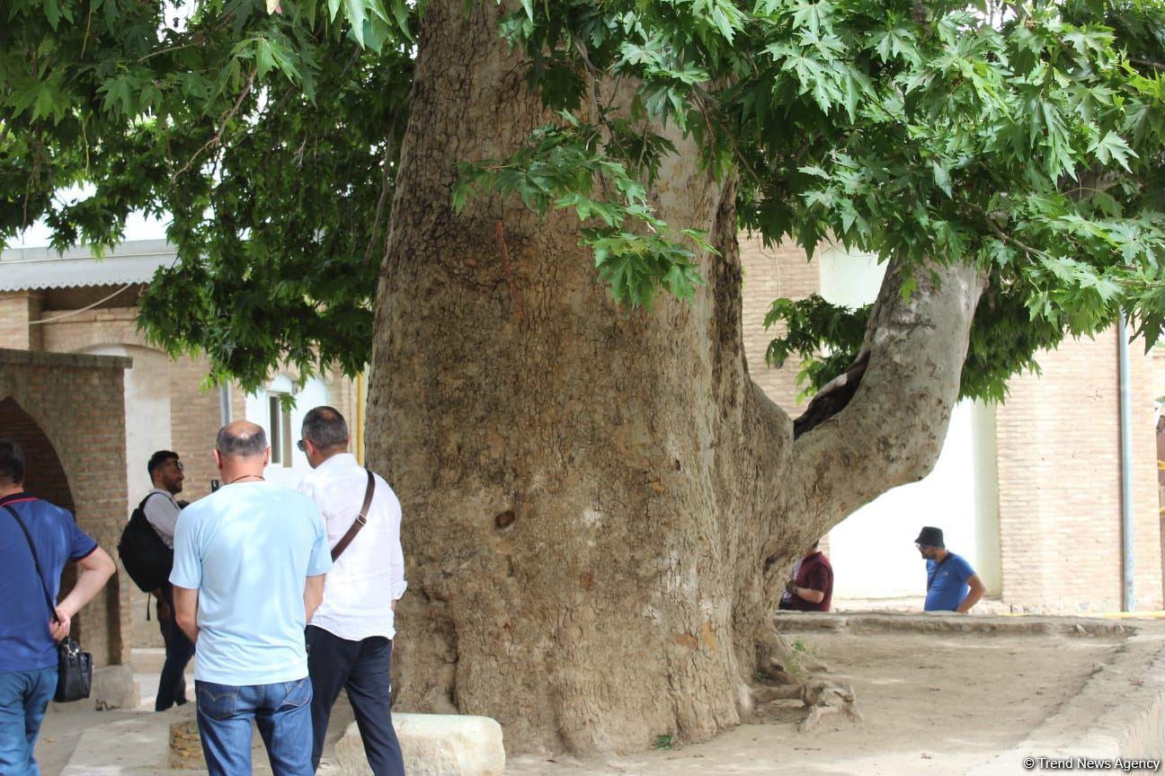 Nuh diyarı Naxçıvanın turizm imkanları ildən-ilə artır (FOTO)