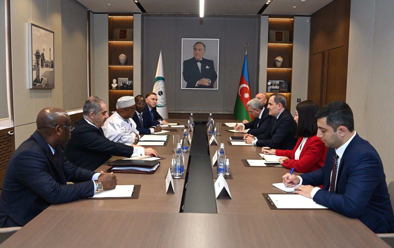 Azerbaijani Foreign Affairs Minister meets with OIC Secretary General (PHOTO)