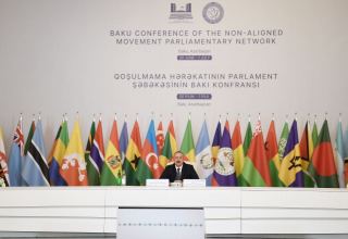 Президент Азербайджана: Во время пандемии мы оказали финансовую и гуманитарную помощь более чем 80 странам