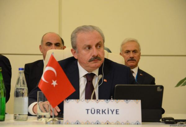 Non-Aligned Movement's prestige enhanced during Azerbaijan's chairmanship - Turkish official
